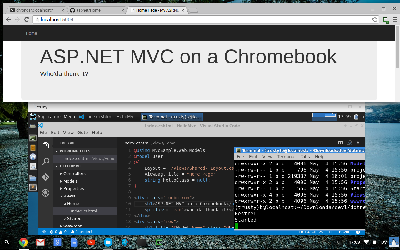 ASP.NET 5 on a chromebook